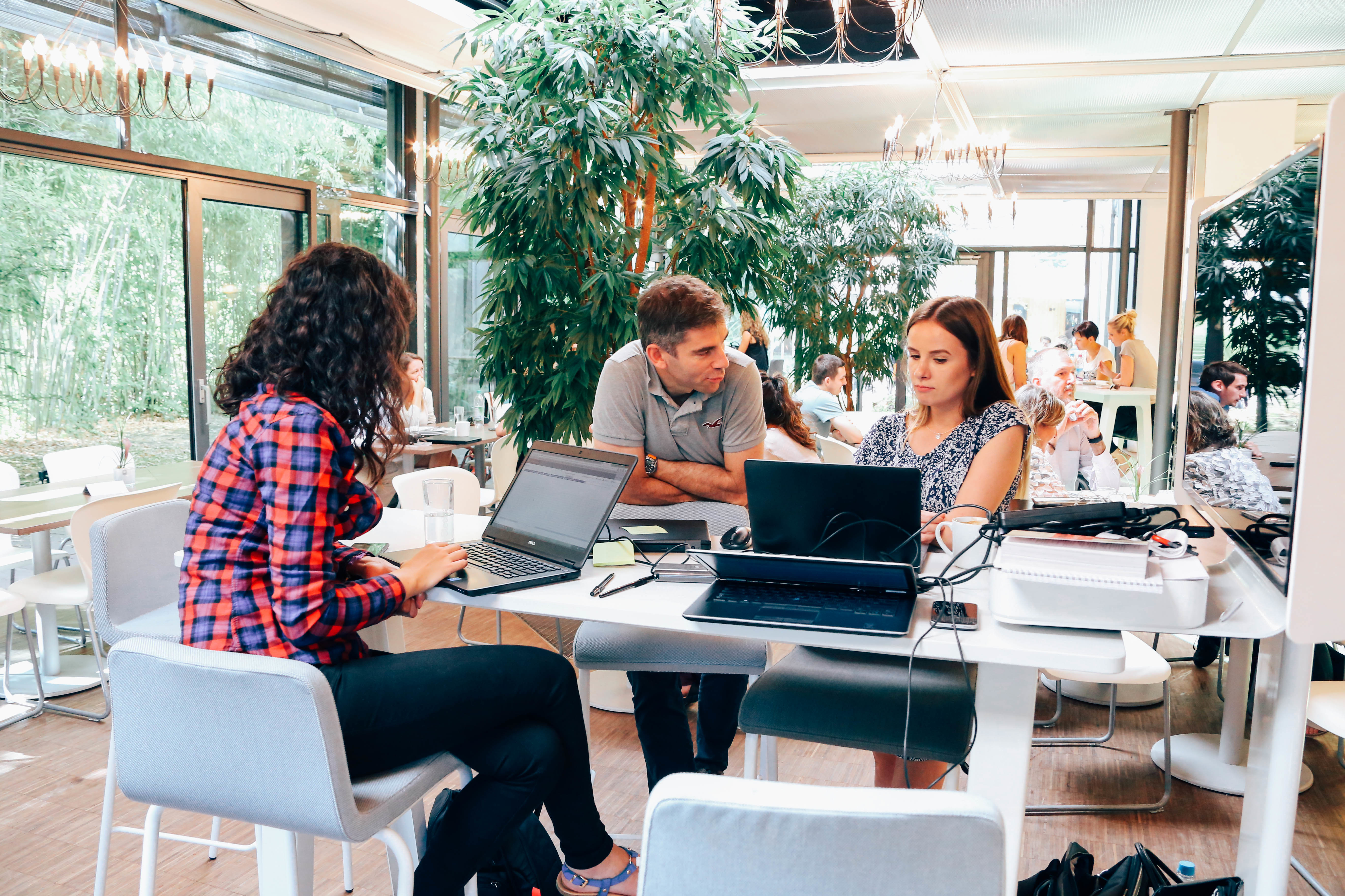 people-at-the-office-talking-and-brainstorming_t20_6w0nnO